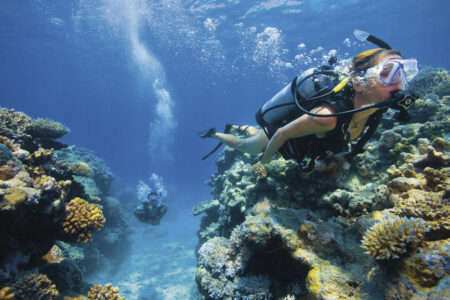 Lizard Island, Great Barrier Reef Lizard Island, Great Barrier Reef, QLD Australia