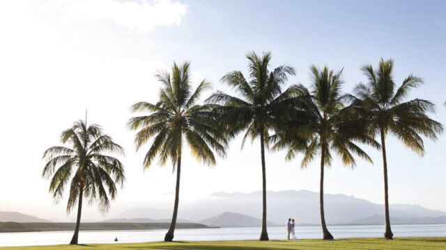 Wedding at Anzac Park, Port Douglas, QLD Australia
