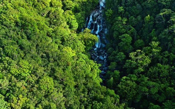 Mossman River, Mossman Gorge, Daintree National Park Mossman River, Mossman Gorge, Daintree National Park, QLD Australia