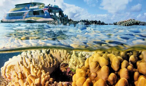 Opal Reef off Port Douglas, Great Barrier Reef Exposed Tropical Coral Garden, split image, Port Douglas Australia