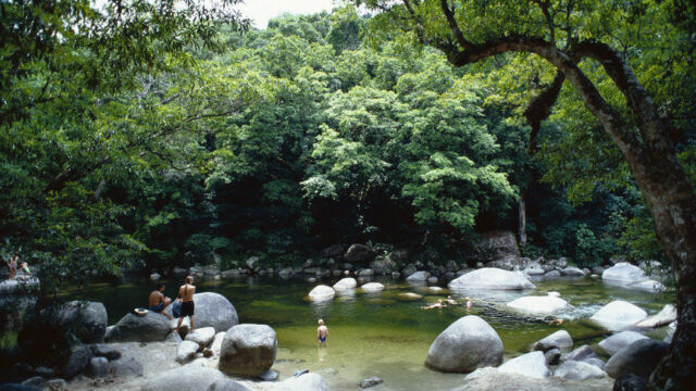 Mossman Gorge, Daintree National Park Mossman Gorge, Daintree National Park, QLD Australia