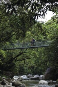 Mossman Gorge, Daintree National Park Mossman Gorge, Daintree National Park, QLD