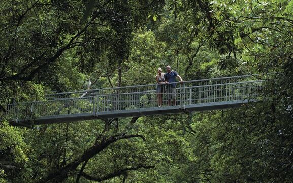 Mossman Gorge, Daintree National Park Mossman Gorge, Daintree National Park, QLD
