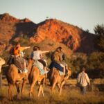 Pyndan Camel Tours Alice Springs