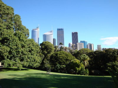 Syndey Skyline Syndey Skyline, Australia