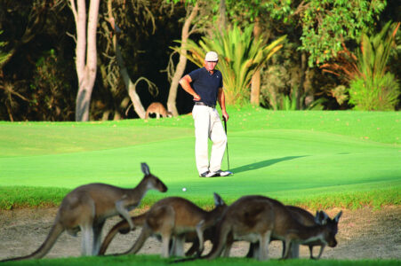 Golf at the Vines, Perth Golf at the Vines, Perth Western Australia