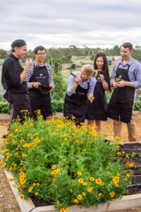 Jacob's Creek Experiences Jacob's Creek Experiences