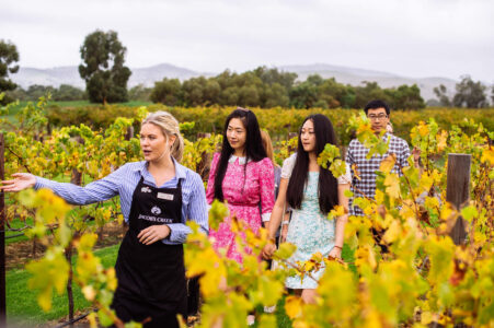 Jacob's Creek Experiences Jacob's Creek Experiences