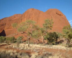 Kata Tjuta Kata Tjuta, NT Australia