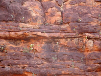 Kings Canyon Kings Canyon, NT Australia