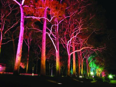 Kings Park at night, Perth Kings Park at night, Perth, Western Australia