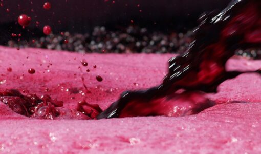 Making wine at Langmeil Winery Making wine at Langmeil Winery