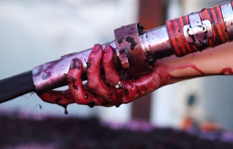 Making Wine at Langmeil Winery Making Wine at Langmeil Winery