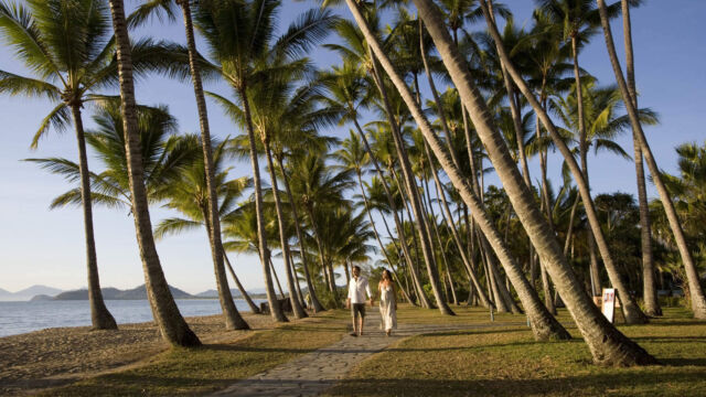 Palm Cove - Esplanade Palm Cove - Esplanade