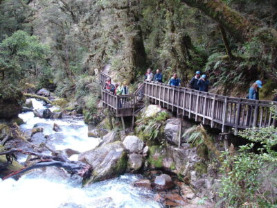 Road to Milford Sound, South Island Sights along the road