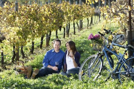 Swan Valley cycling, Perth Swan Valley cycling, Perth Western Australia