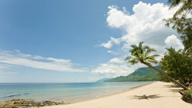 Thala beach Thala beach Port Douglas