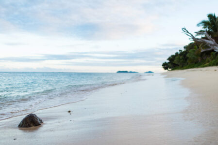 Tokoriki Beach Tokoriki Island Resort Beach