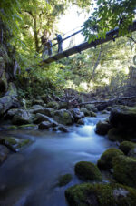 Lake Waikaremoano. Te Urewera national park. North Island Lake Waikaremoano. Te Urewera national park. North Island. New Zealand. model releases 683 - 685
