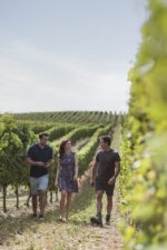 Seddon, Marlborough Seddon, Marlborough