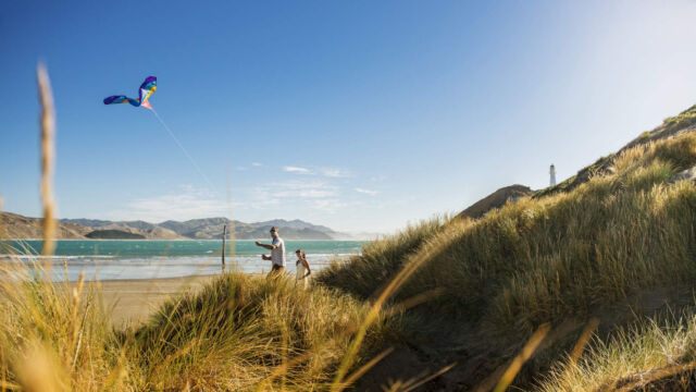 Castle Point, Wairarapa Castle Point, Wairarapa