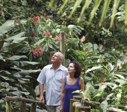 Garden of the sleeping giant, Nadi. Garden of the sleeping giant, Nadi, Fiji