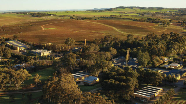 Seppeltsfield Estate aerial view of entire estate. Barossa Valley, Seppeltsfield Estate aerial view of entire estate., SA Australia