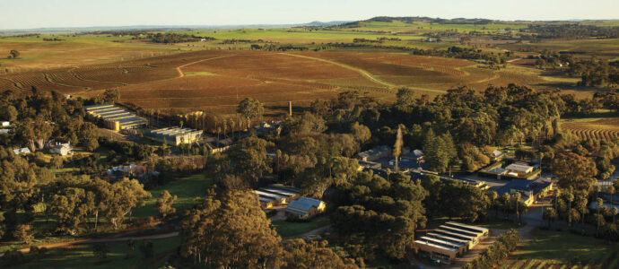Seppeltsfield Estate aerial view of entire estate. Barossa Valley, Seppeltsfield Estate aerial view of entire estate., SA Australia