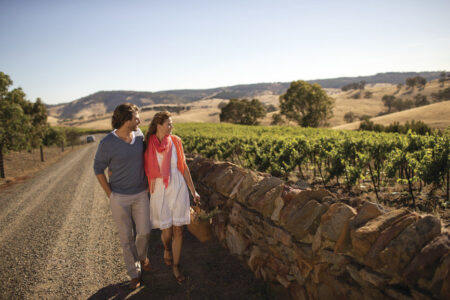 Jacobs Creek vineyards: Ultimate Winery Experiences of Australia Jacobs Creek vineyards: Ultimate Winery Experiences of Australia, SA