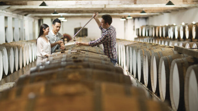 The Centennial Cellar: Seppeltsfield Wines Barossa Valley, The Centennial Cellar: Seppeltsfield Wines