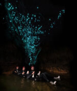 Glow Worm Caves, Waitomo Glow Worm Caves, Waitomo