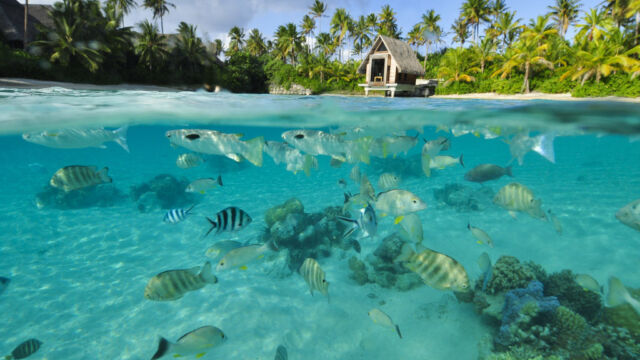 Lagoon Intercontinental Thalasso Lagoon Intercontinental Thalasso Bora Bora