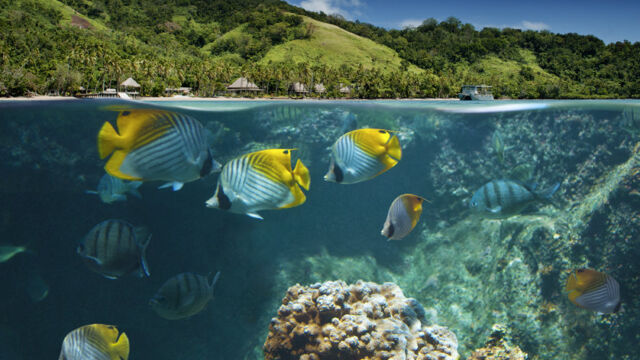 Diving, Lalati Resort Diving, Lalati Resort