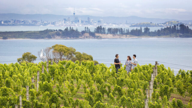 Waiheke Island, Auckland Waiheke Island, Auckland