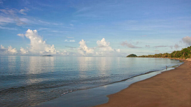 Beach Uprising Resort Beach Uprising Resort