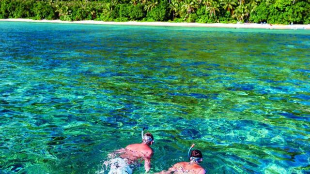 Snorkeling - Blue Lagoon Cruises Snorkeling - Blue Lagoon Cruises