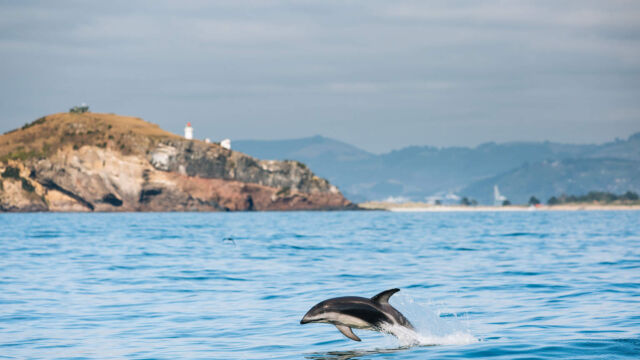 St. Clair Beach, Dunedin St. Clair Beach, Dunedin