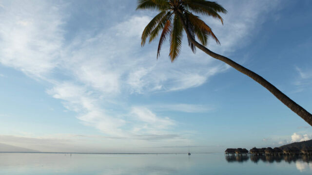 Lagoon & White Sand Beach Hotel Sofitel Moorea Lagoon & White Sand Beach Hotel Sofitel Moorea