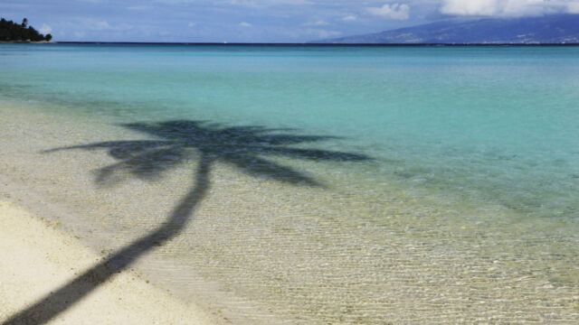 Lagoon & White Sand Beach Hotel Sofitel Moorea Lagoon & White Sand Beach Hotel Sofitel Moorea