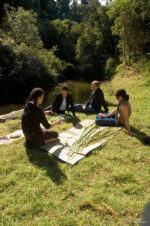 Pureora Forest Park, Lake Taupo Pureora Forest Park, Lake Taupo