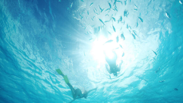 Snorkeling Sofitel Private Island Bora Bora Snorkeling Sofitel Private Island Bora Bora