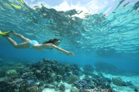 Snorkeling Hotel Sofitel Moorea Snorkeling Hotel Sofitel Moorea