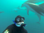 DCIM100GOPRO Dolphin Encounter Kaikoura
