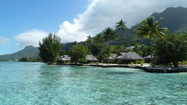Lagoon bungalows Hotel Sofitel Moorea Lagoon bungalows Sofitel Moorea