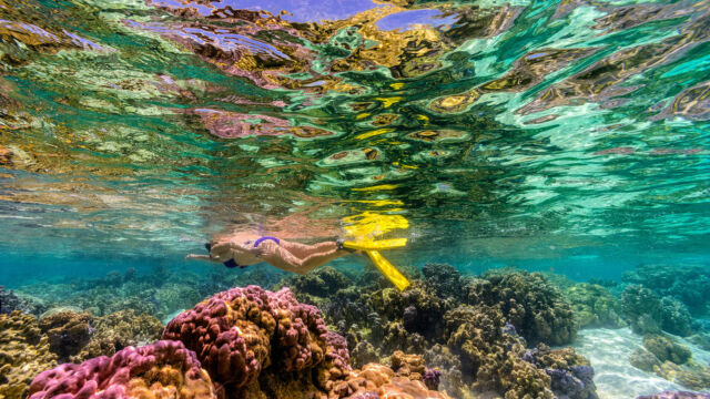 Snorkeling the coral reef at Le Taha'a Resort and Spa, French Polynesia