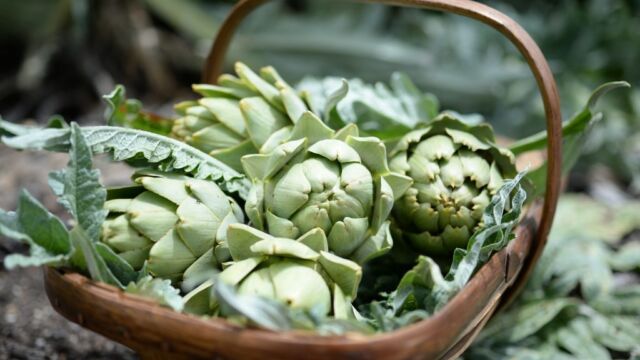 Seasonal Produce Emirates One and Only Wolgan Valley Blue Mountains