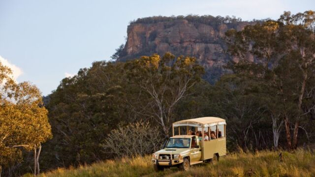 Wildlife Safari Emirates One and Only Wolgan Valley Blue Mountains