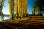 Autumn at Te Anau