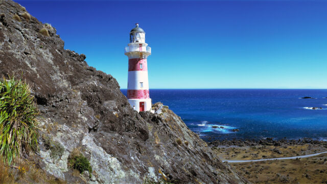 Cape Palliser Wairarapa