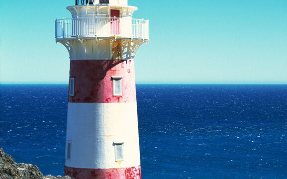 Cape Palliser Wairarapa